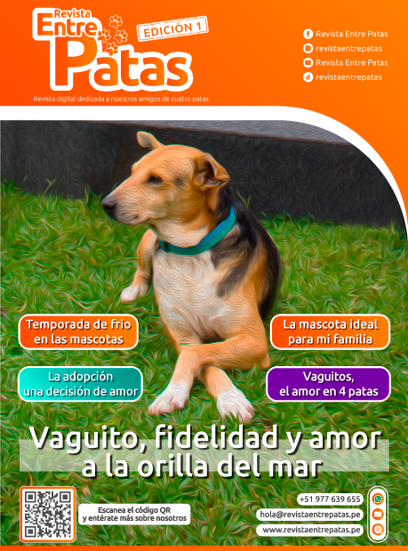 Revista Entre Patas - Edición 1