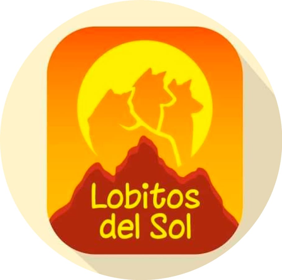 Lobitos-del-sol