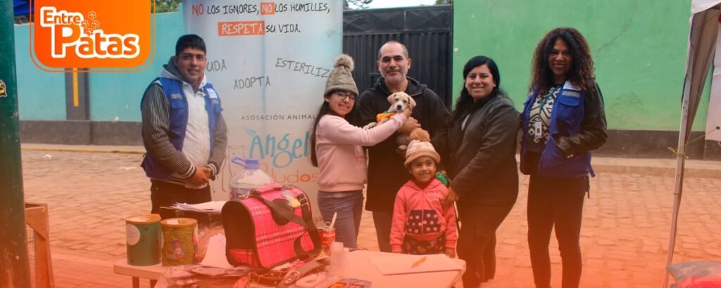 Adopción responsable de mascotas