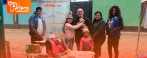 Adopción responsable de mascotas