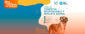 Tenencia Responsable