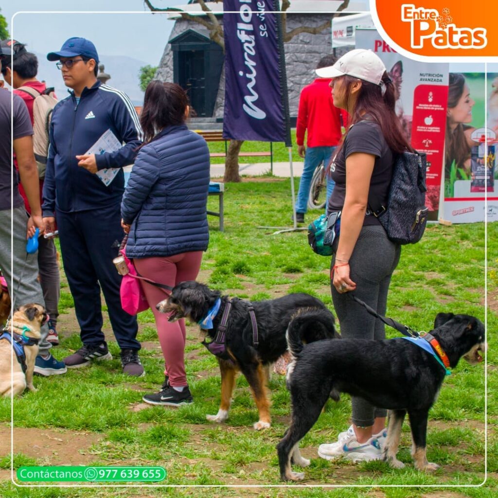 MIRA-CANINATÓN 2K