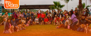 Chente's Club Beagle Perú