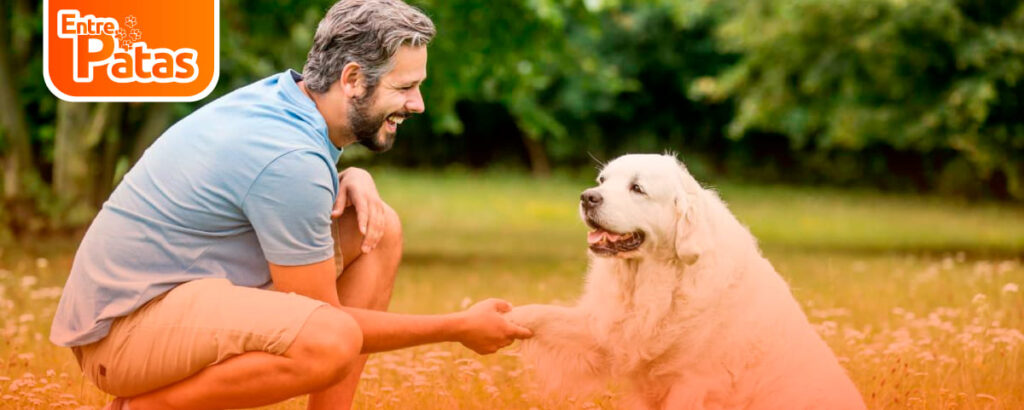 Conducta del perro