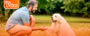 Conducta del perro