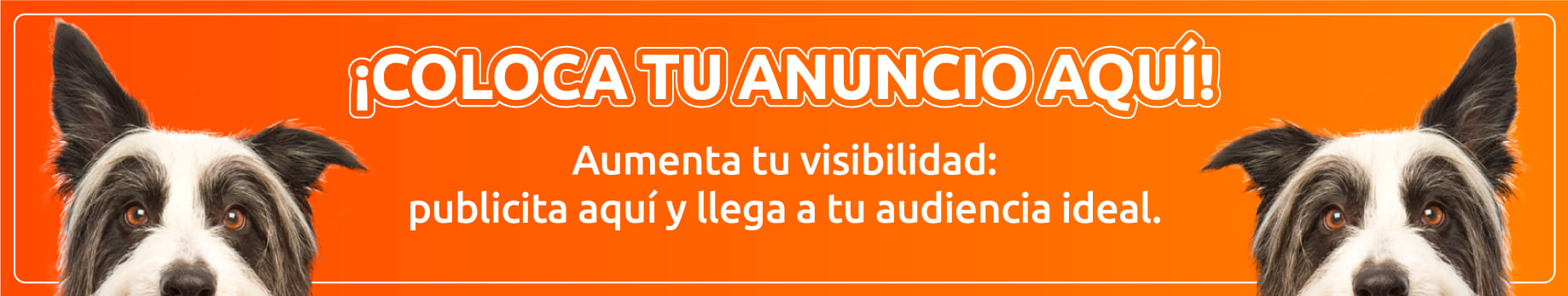 Tu anuncio aquí