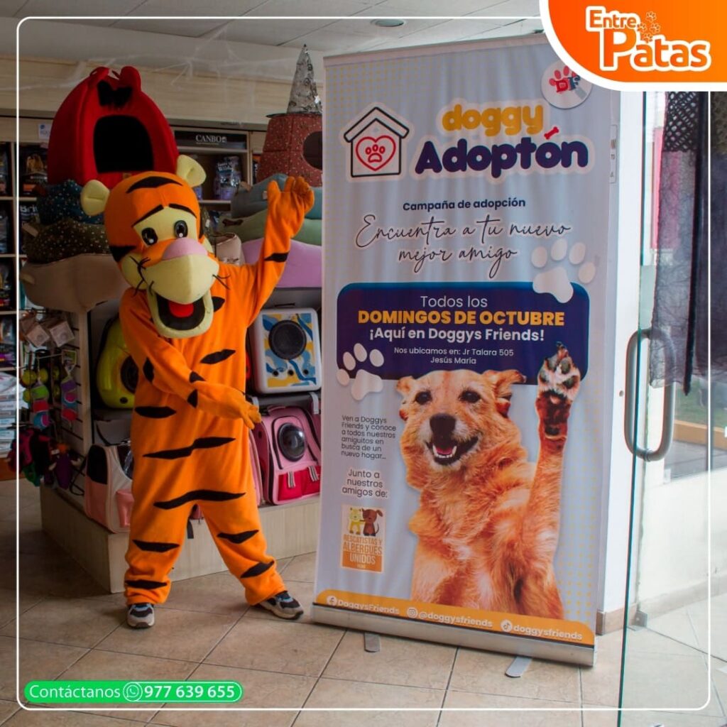 DOGGY ADOPTÓN