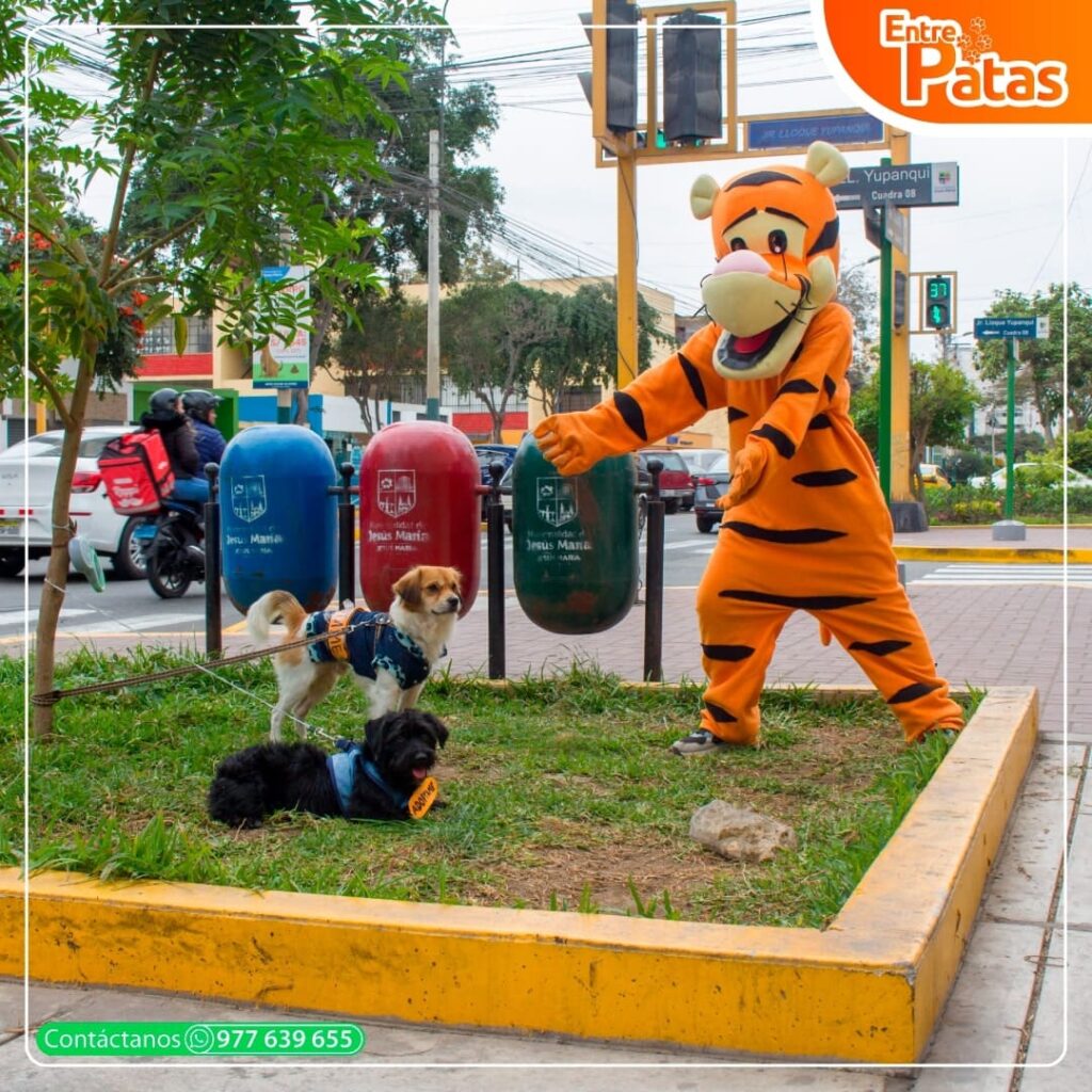 DOGGY ADOPTÓN