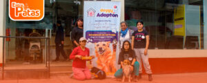 DOGGY ADOPTÓN