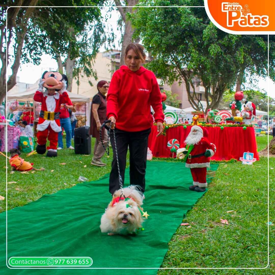 Mundo Shitzu y Pekines
