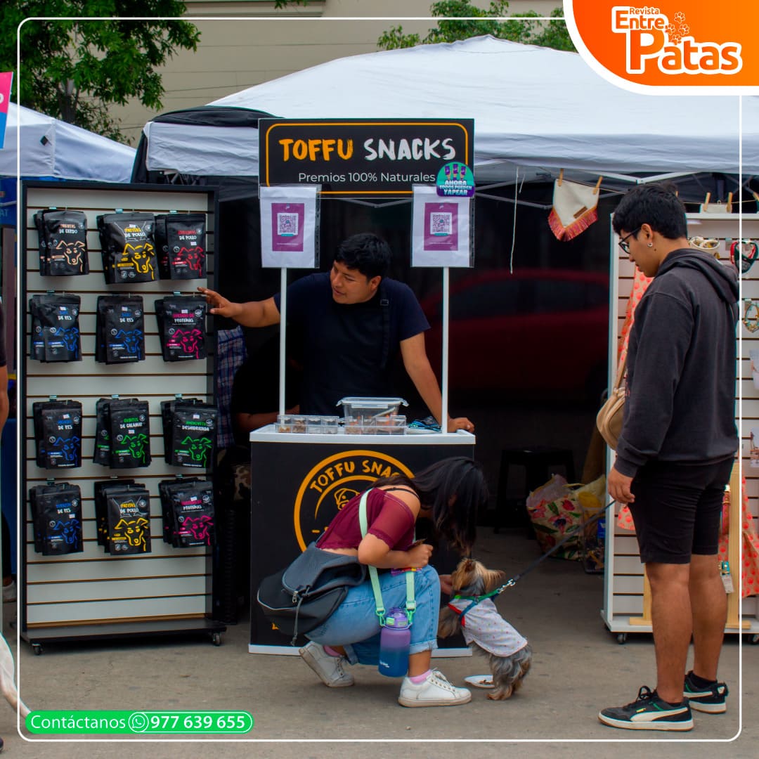 Adoptatón 2024