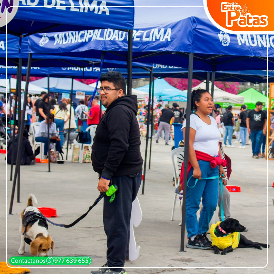 Adoptatón 2024