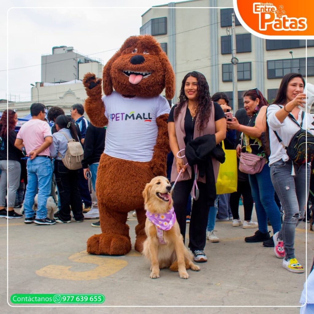 Adoptatón 2024