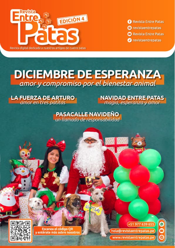 Revista Entre Patas - Edición 4