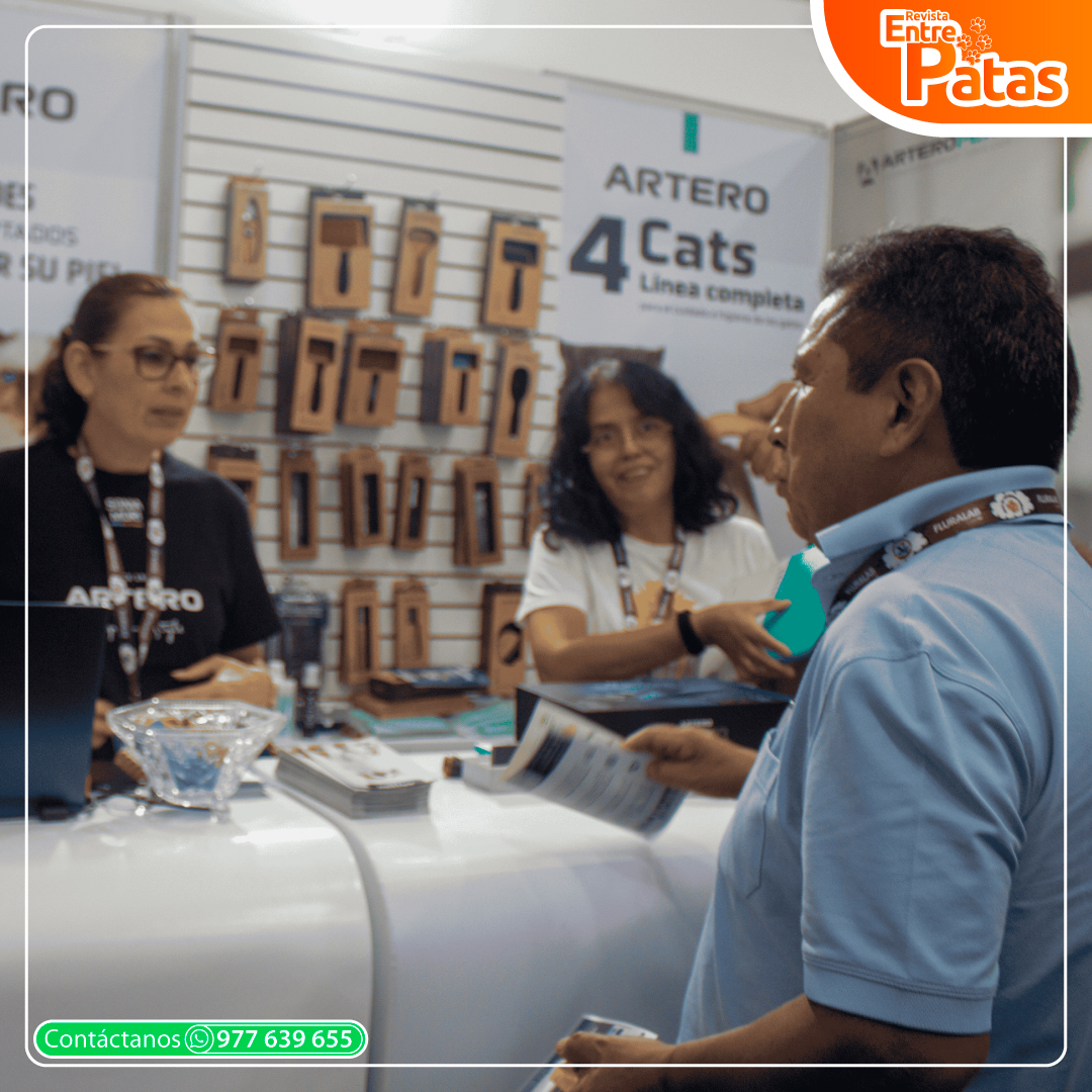 Foro Felino 2025