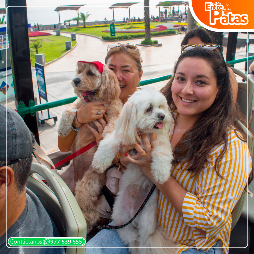 Tour Pet Friendly