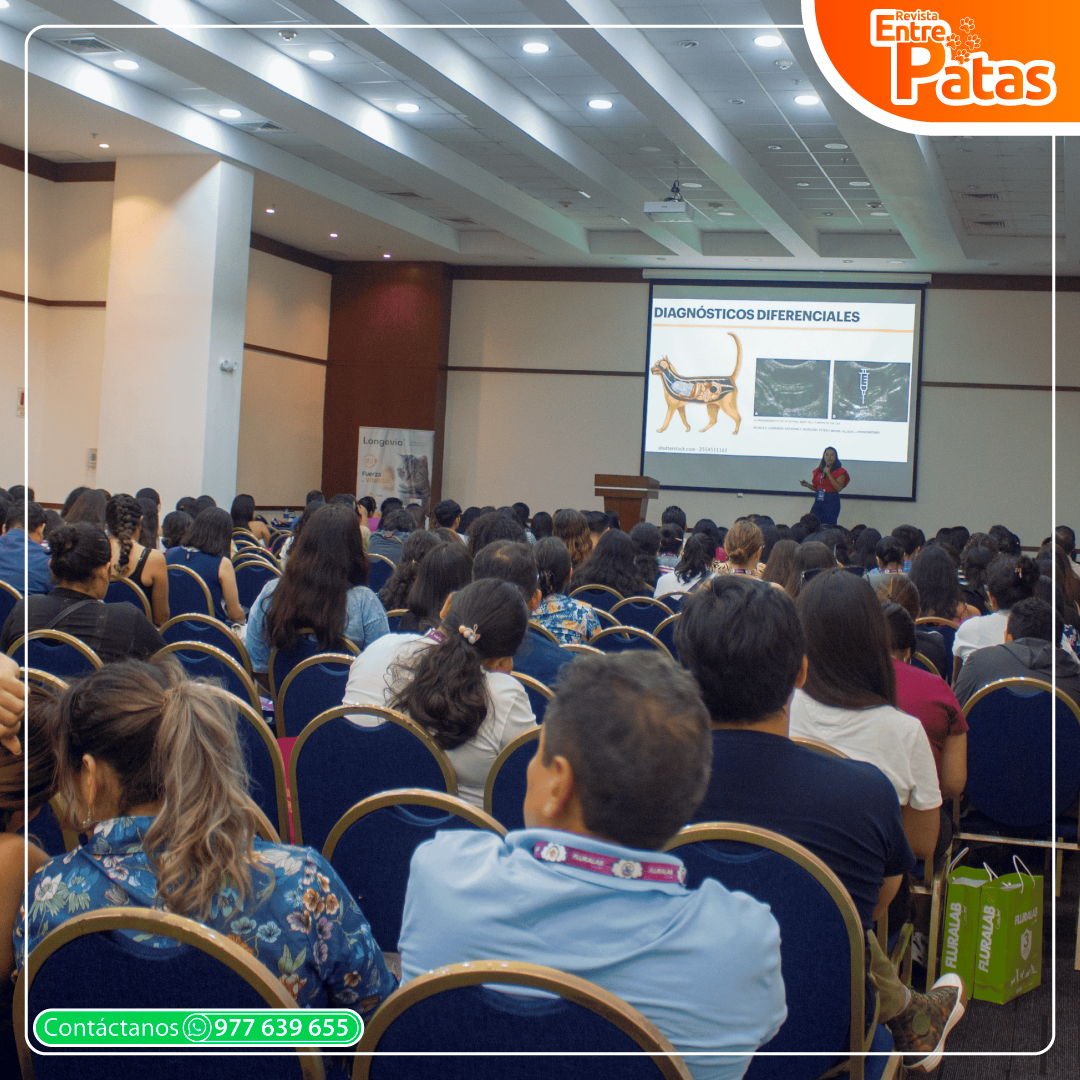 Foro Felino 2025