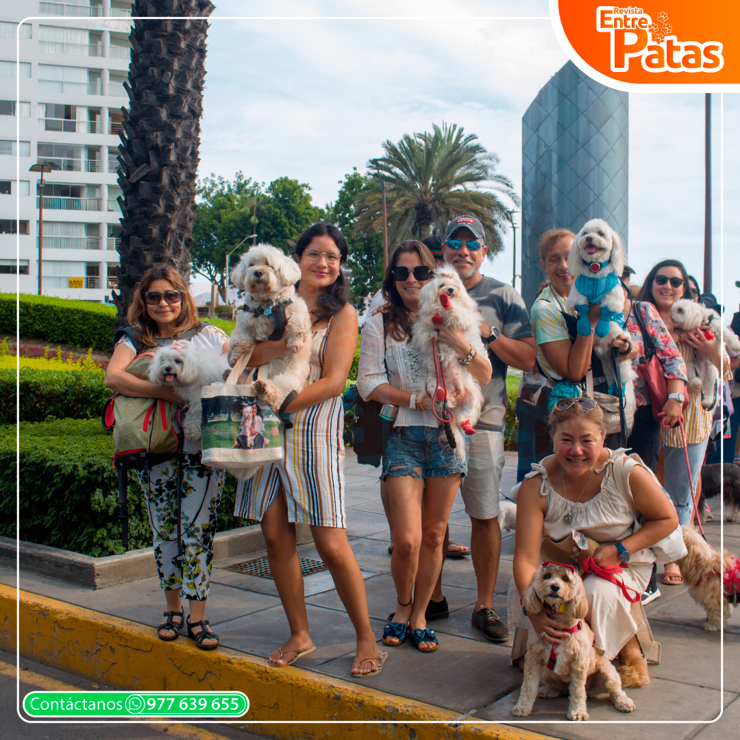 Tour Pet Friendly