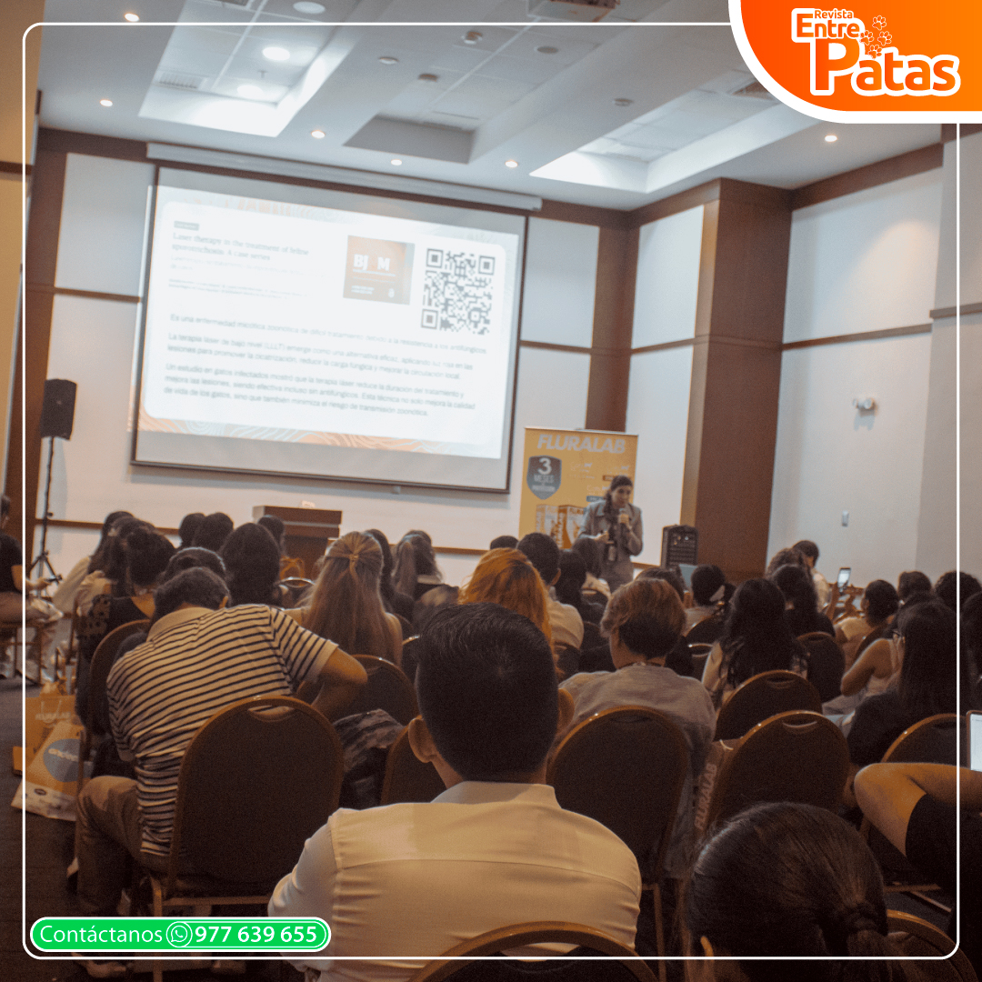 Foro Felino 2025