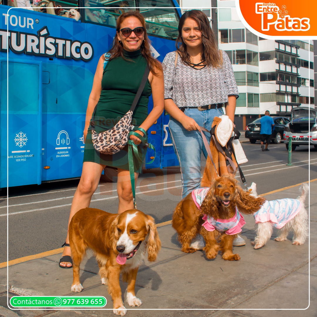 Tour Pet Friendly