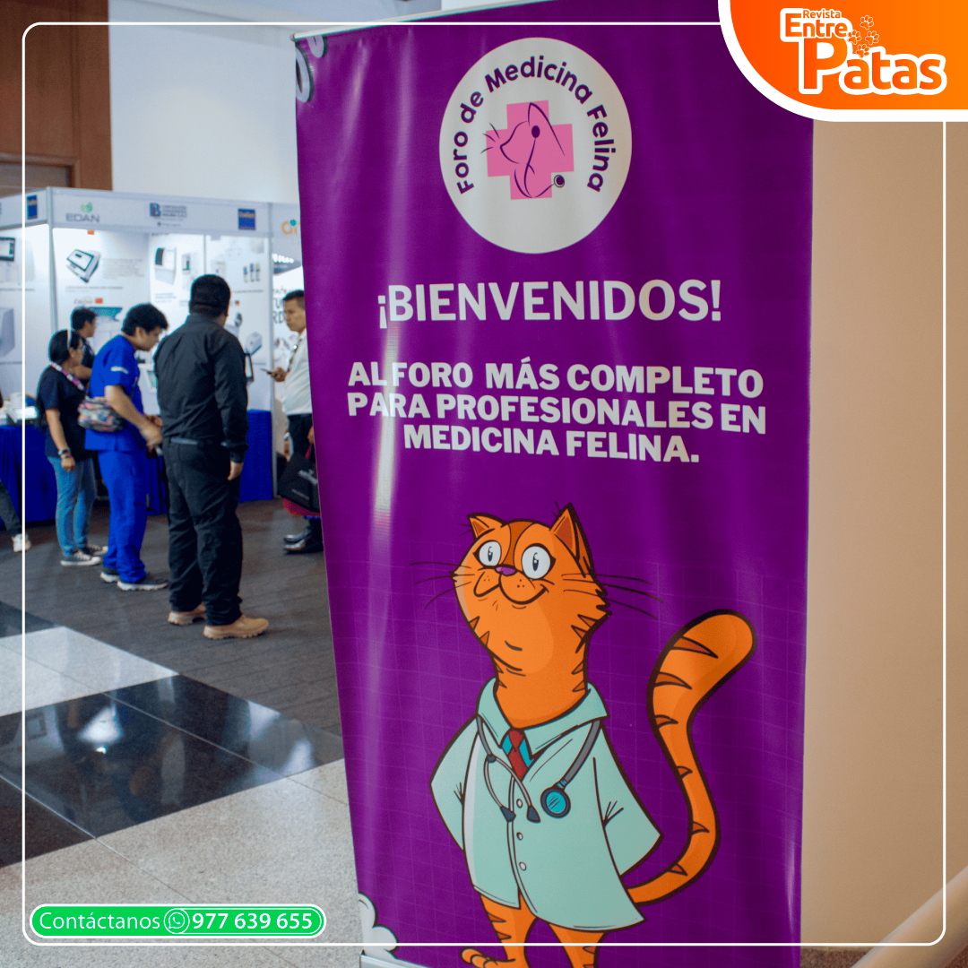 Foro Felino 2025