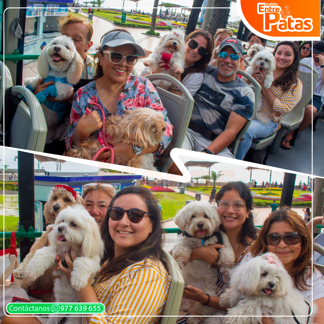 Tour Pet Friendly
