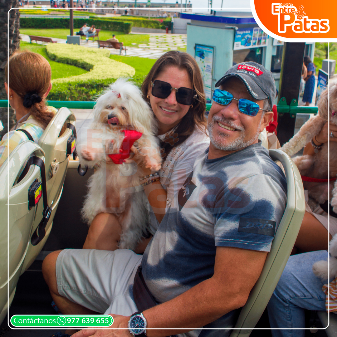 Tour Pet Friendly