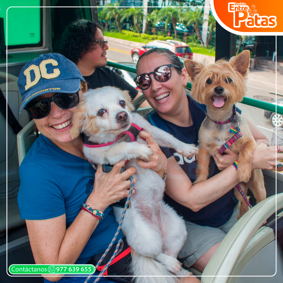 Tour Pet Friendly