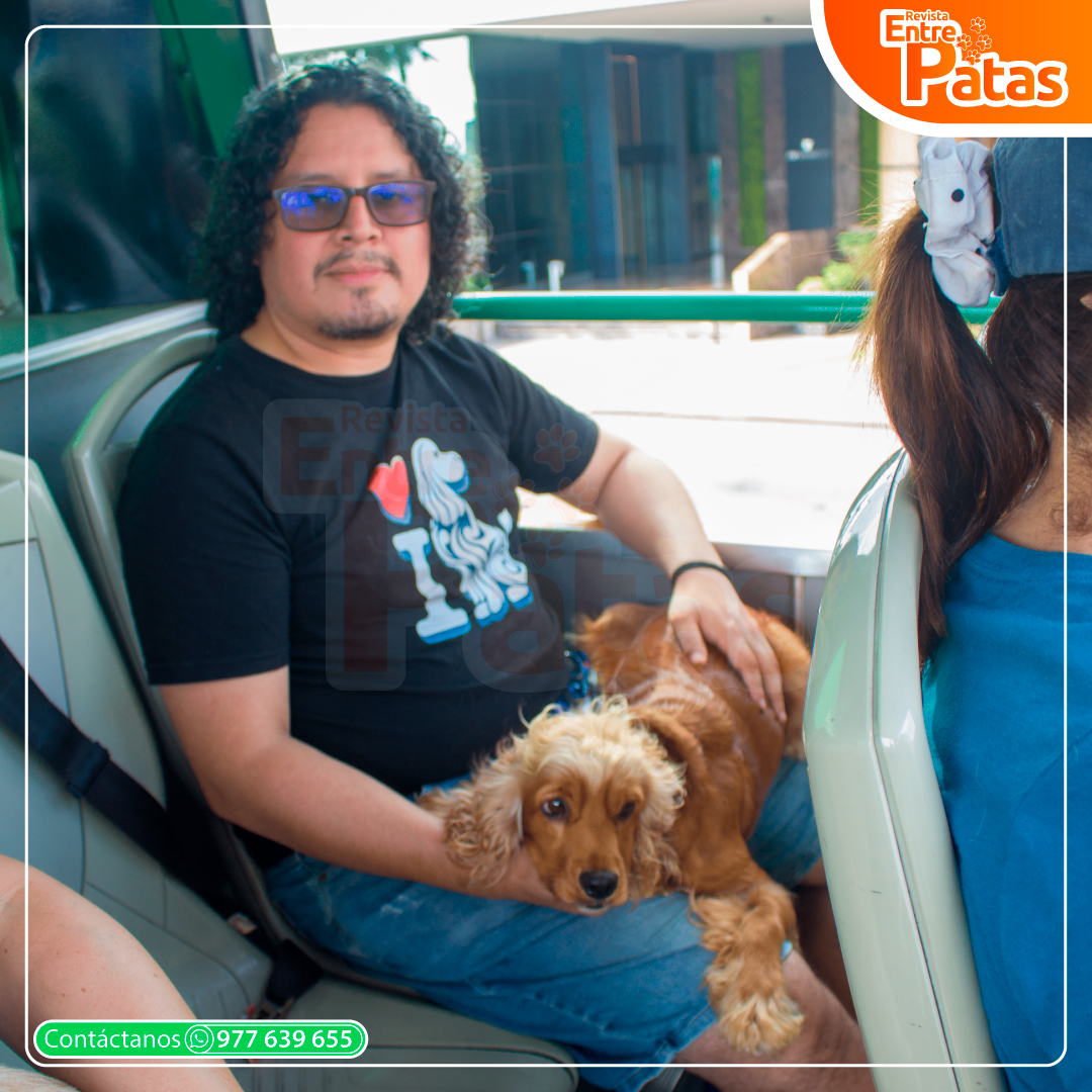 Tour Pet Friendly