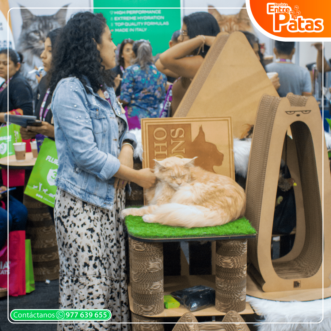 Foro Felino 2025