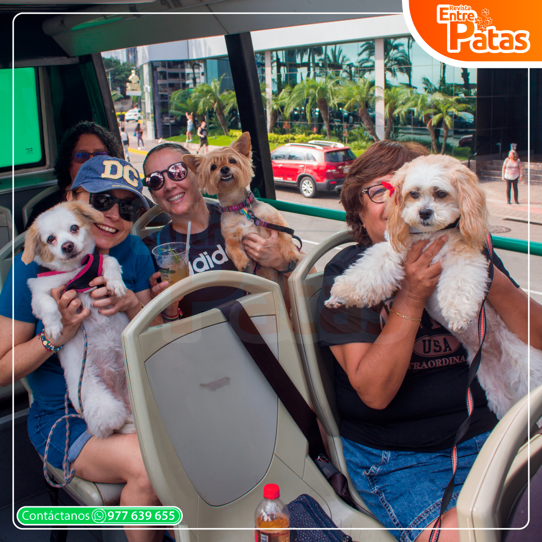 Tour Pet Friendly