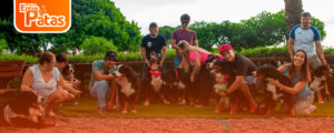 Bernese