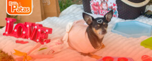 Chihui-Amoroso