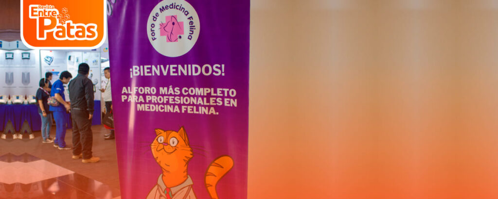 Foro-Felino 2025