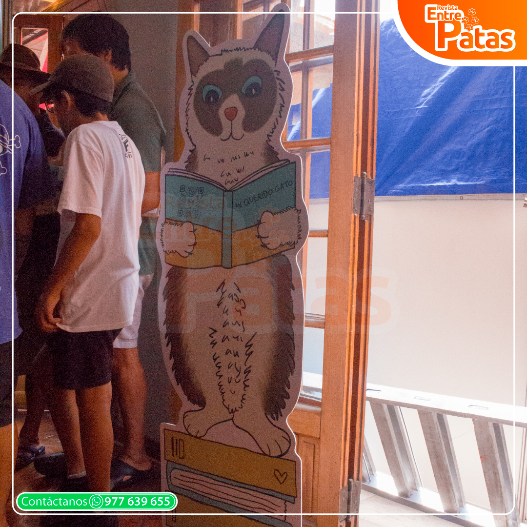 ExpoGato