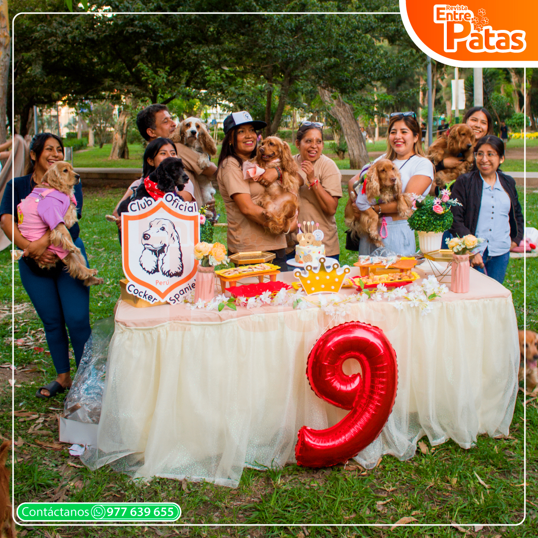 Aniversario Cocker
