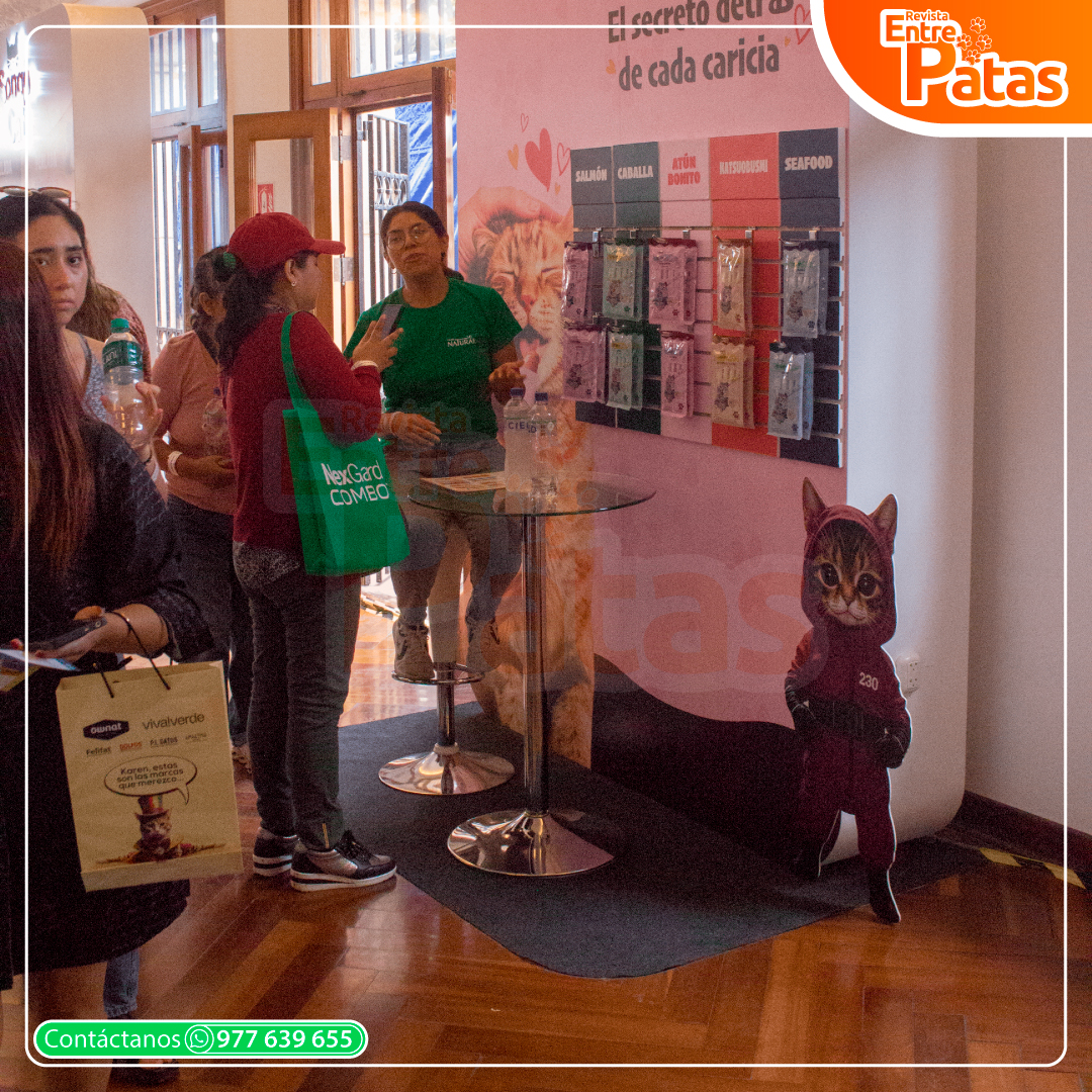 ExpoGato