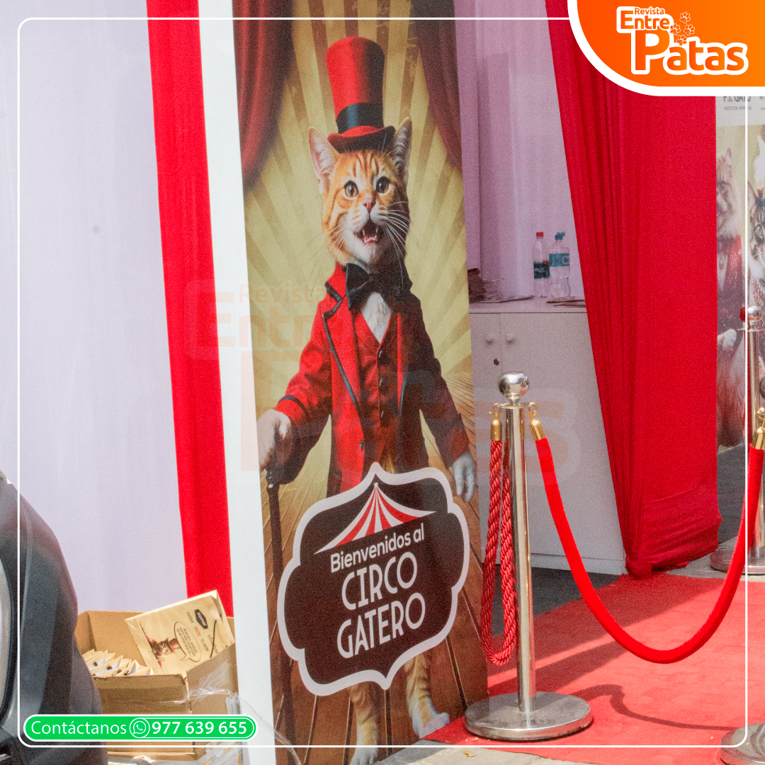 ExpoGato