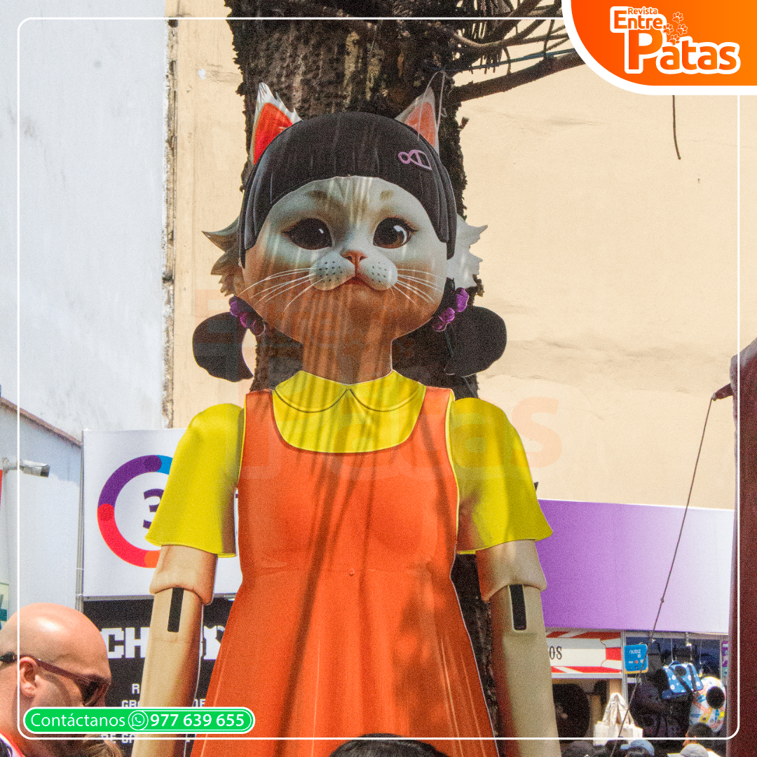 Expo Gato