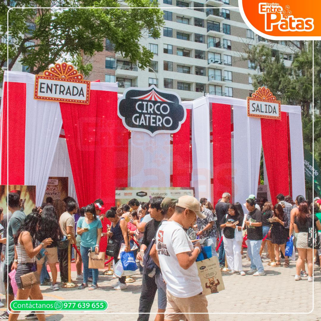 ExpoGato