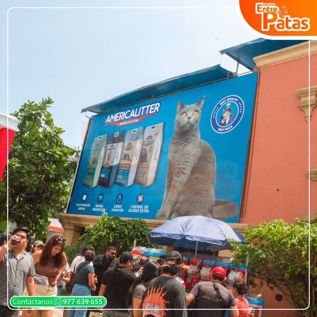 ExpoGato