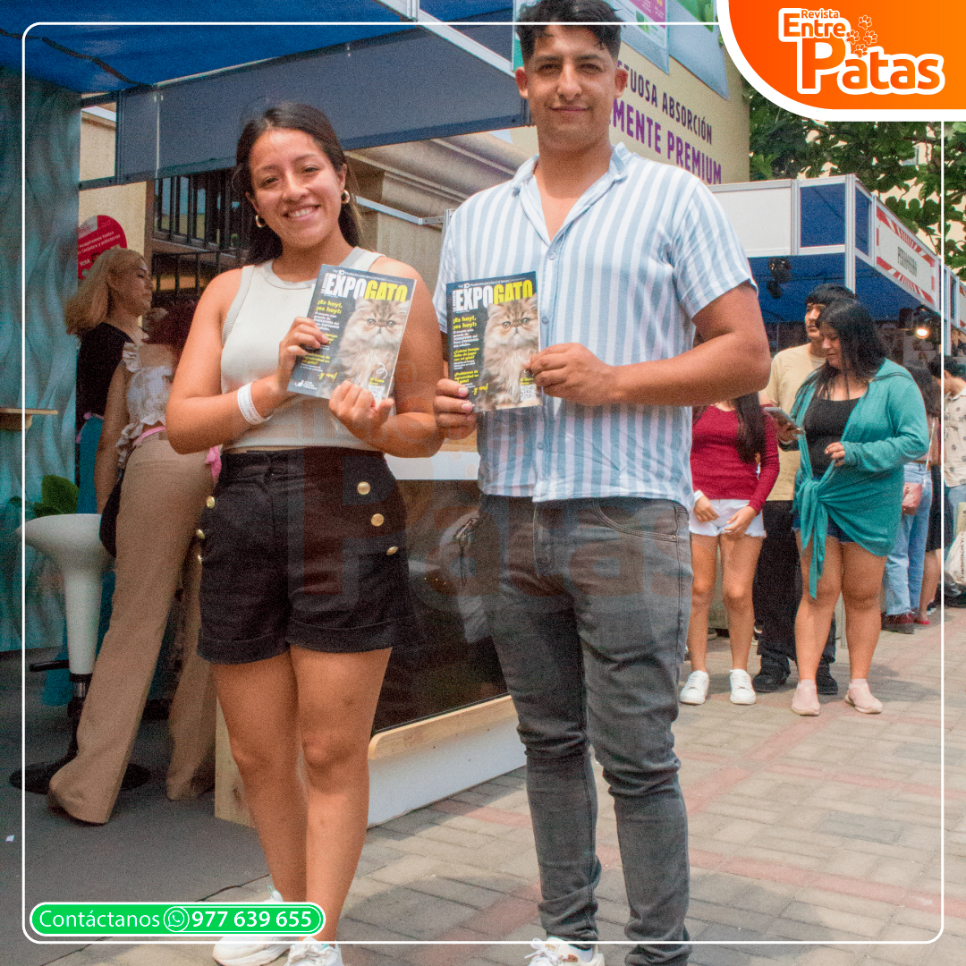 ExpoGato