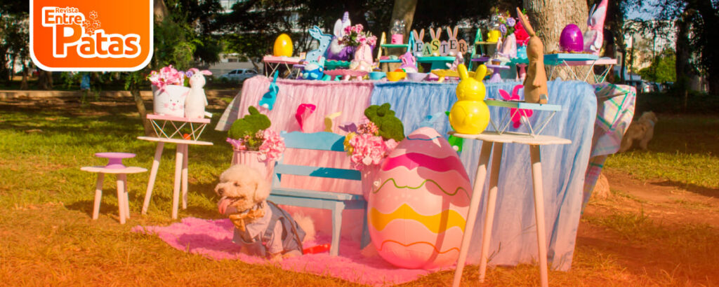 Barbu Pascuas