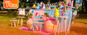 Barbu Pascuas