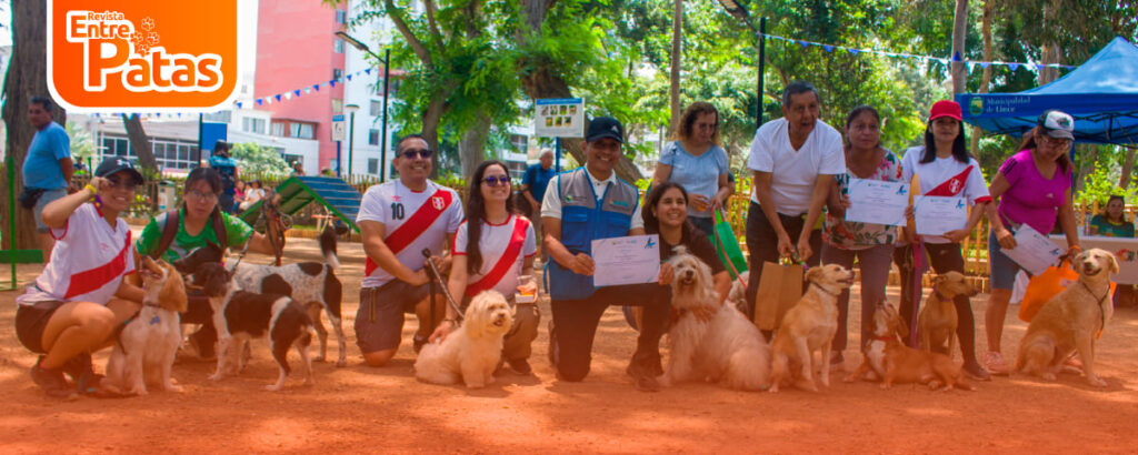 Adiestramiento