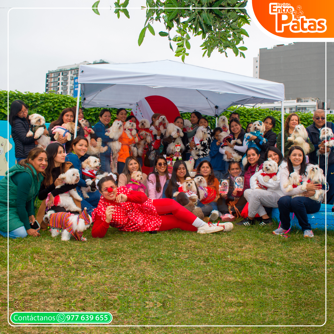 Fiestas Patrias Maltes