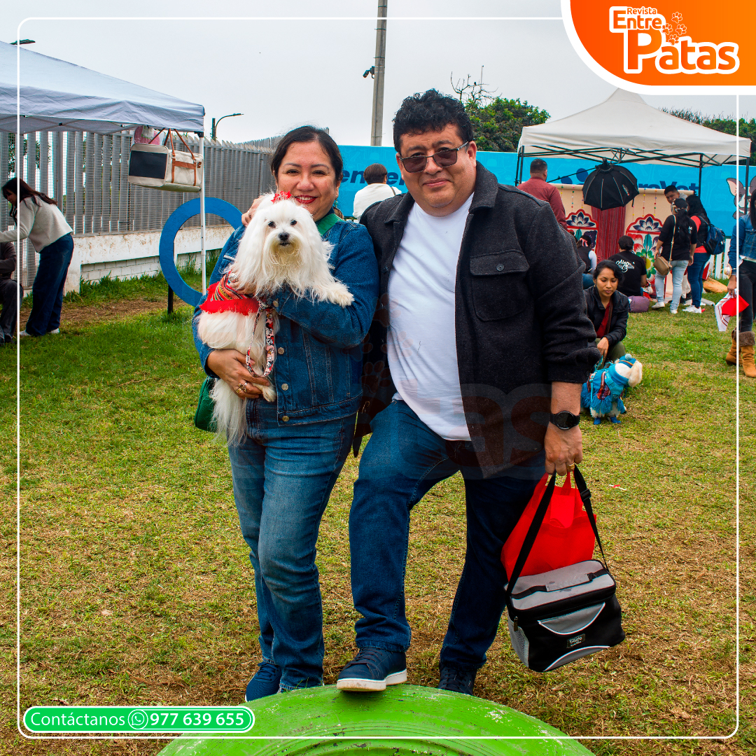 Fiestas Patrias Maltes