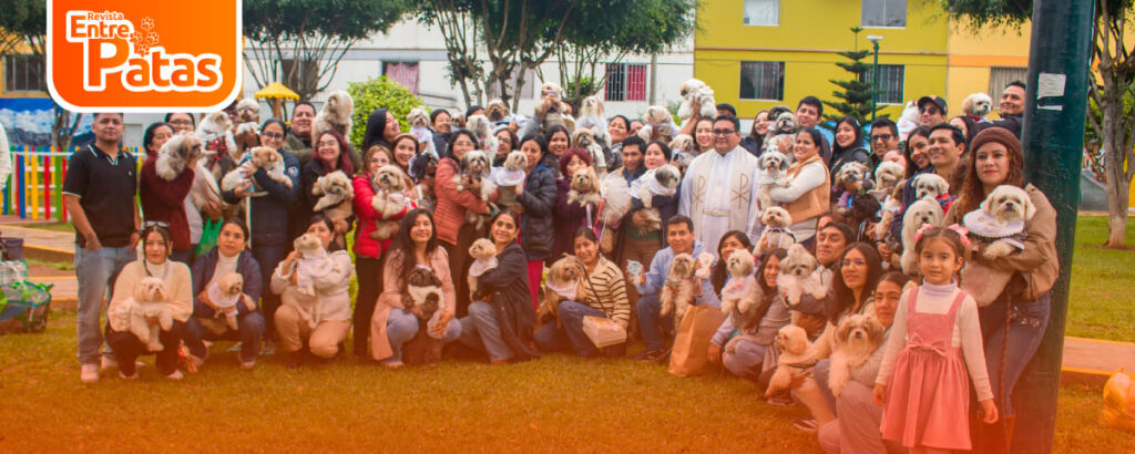 Bautizo Shihtzu
