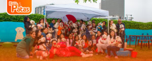Fiestas Patrias Maltes