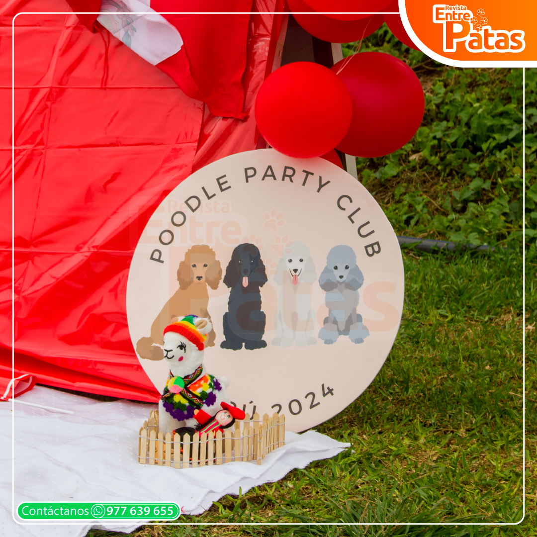 Poodle Club